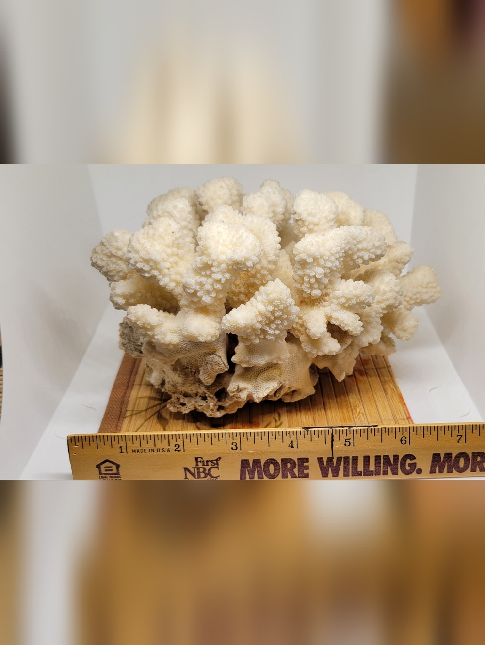 Vintage Natural White Ocean Coral Specimen Large - Picture 9 of 9